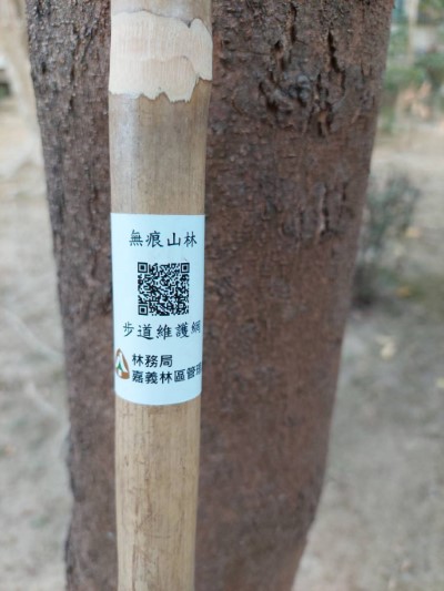 愛心竹杖上貼有步道維護網QR Code，民眾如發現步道設施有任何問題，都可以透過該維護網反應